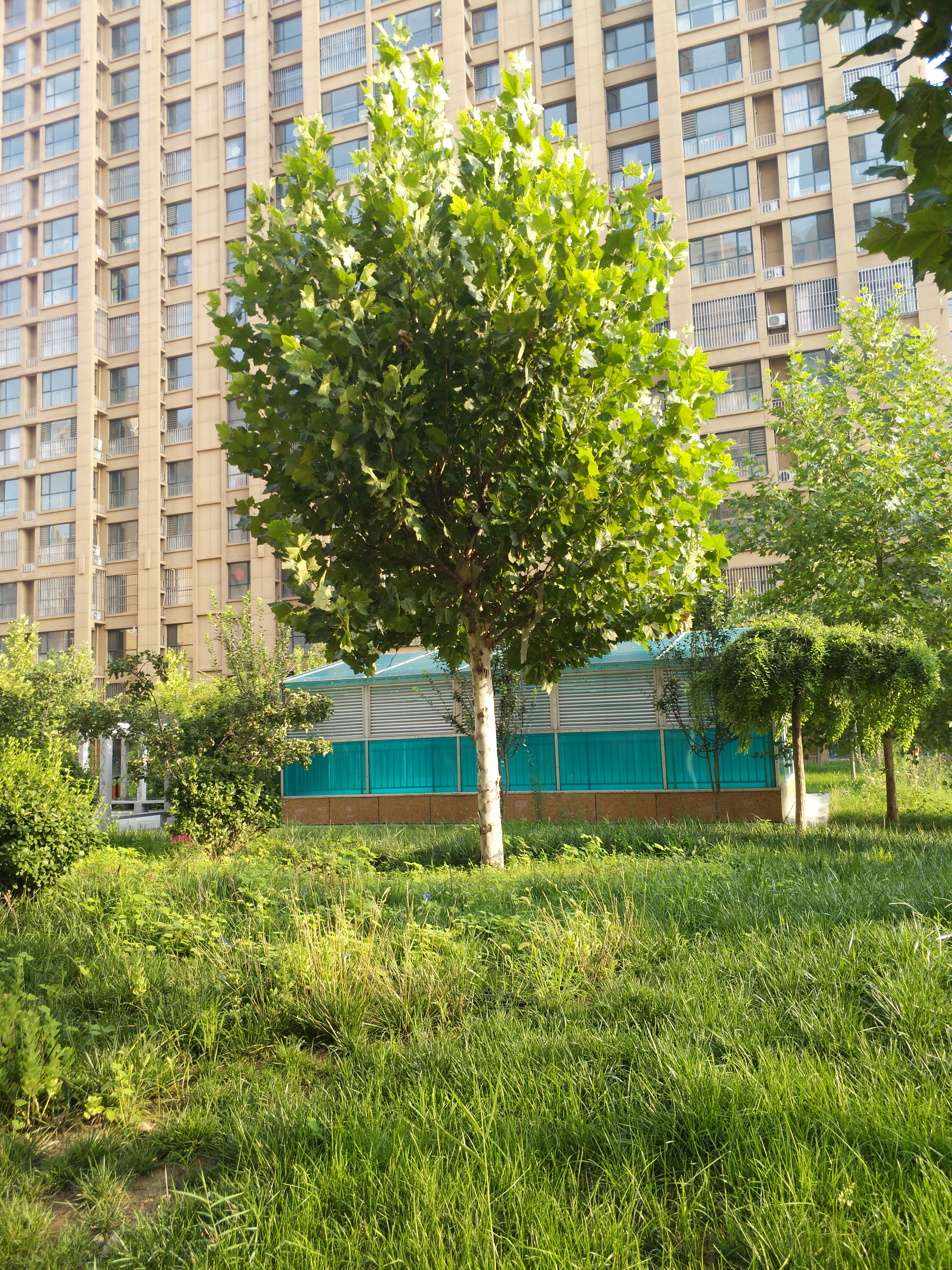 阜城佰瑞廷小区实景图片展示